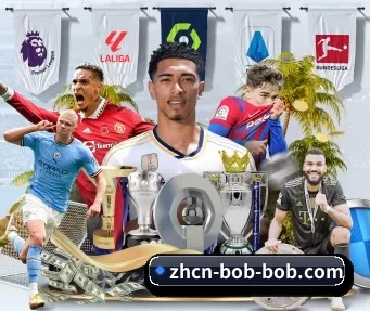 bob体育 APP